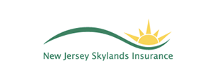 NJSI